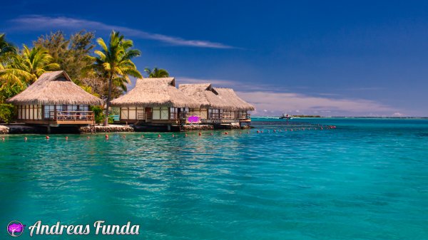 Bungalows in Moorea - Andreas Funda